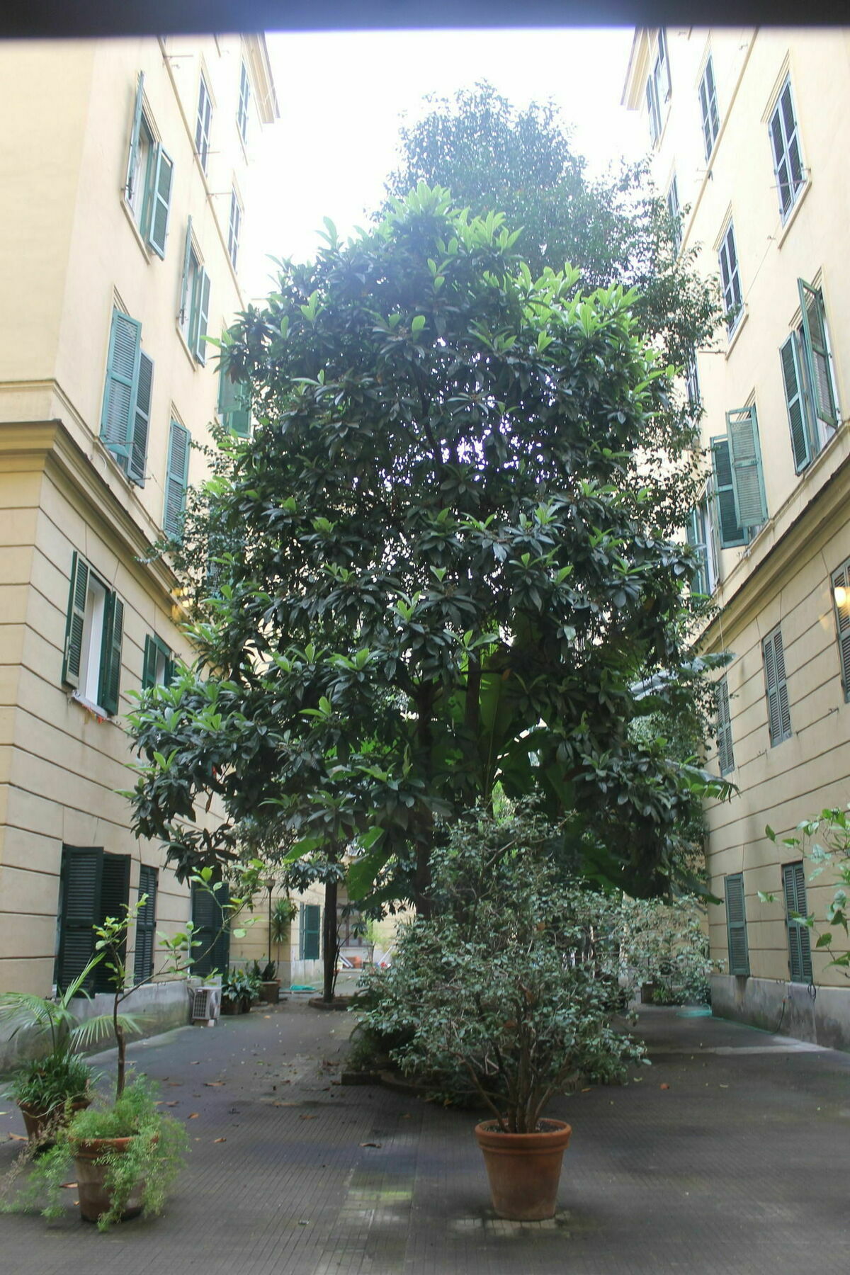 Rovati Guesthouse Рим Экстерьер фото